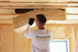 Best Eco-Friendly or Green Insulation Solutions  in Elwood, KS